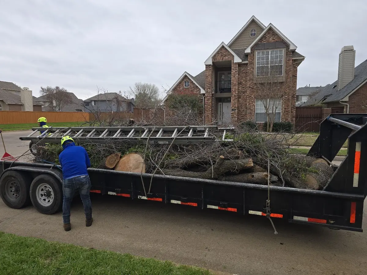 Expert Tree Removal with proper safety equipment in Ahoskie
